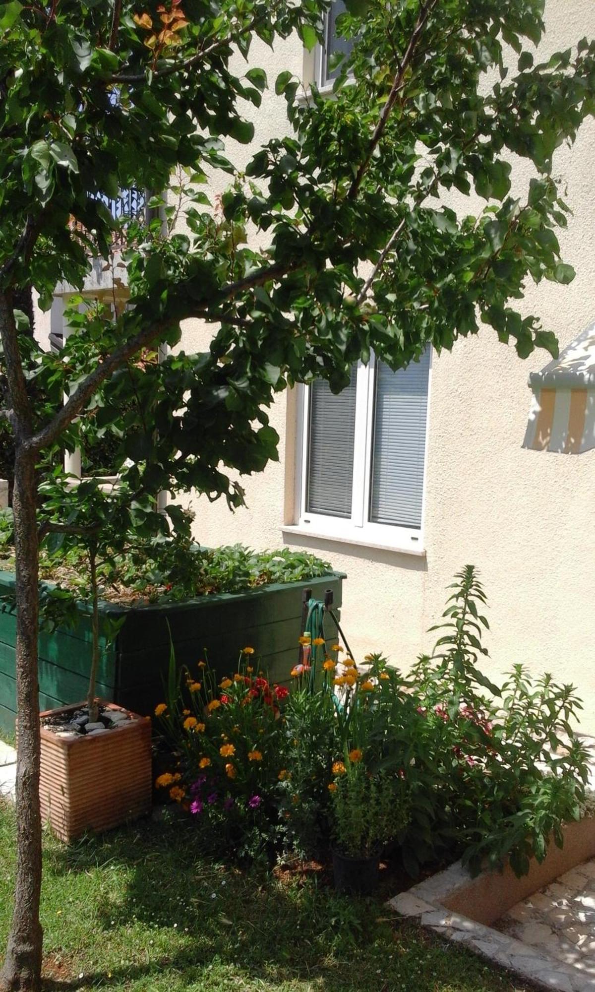 Apartment Laura Poreč Buitenkant foto